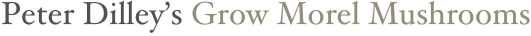 Peter Dilley’s Grow Morel Mushrooms